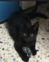 Frieda (2)